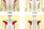 邱博士談武學(xué)：武學(xué)中小肌肉群、小關(guān)節(jié)與人體穩(wěn)定性