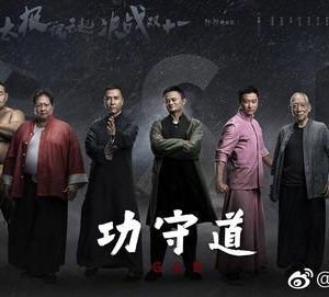 《功守道》的影響力能否能超越《戰(zhàn)狼2》？制作方能否名利雙收？