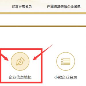 國家企業(yè)信用信息公示系統(tǒng)企業(yè)即時(shí)信息公示怎么填報(bào)？-