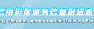 2018年中小企業(yè)信用擔(dān)保業(yè)務(wù)信息報(bào)送系統(tǒng)填報(bào)操作說明 （最新）