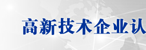 高新技術(shù)企業(yè)認定財務(wù)專家評價表（示范文本）及填寫說明