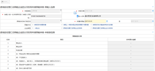 填寫匯總納稅企業(yè)二級(jí)分支機(jī)構(gòu)企業(yè)年度申報(bào)信息