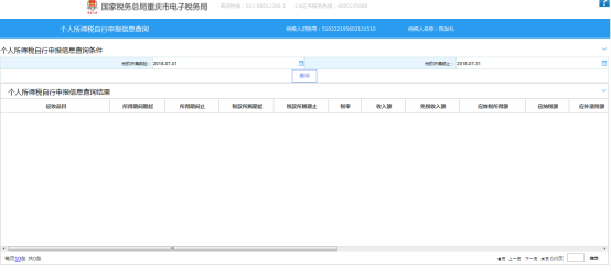 個(gè)人所得稅自行申報(bào)信息查詢