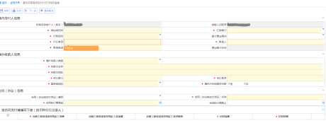 服務(wù)貿(mào)易等項(xiàng)目對(duì)外支付稅務(wù)備案界面