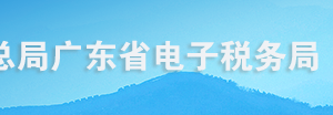 廣東省電子稅務(wù)局納稅人資格類型認(rèn)定操作流程說明