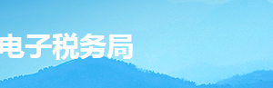 湖南省電子稅務局入口及退稅商店備案變更操作手冊操作說明