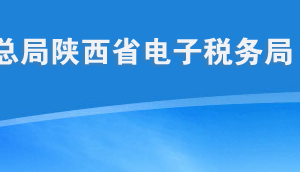 陜西省電子稅務(wù)局常見問題匯總