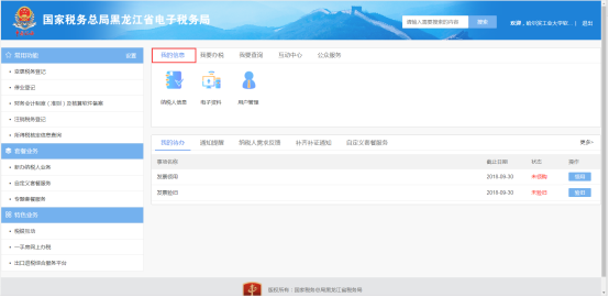 黑龍江電子稅務(wù)局我的信息