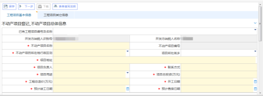 填寫不動產(chǎn)項目報告信息