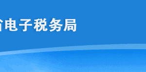 海南省電子稅務(wù)局其他類(lèi)消費(fèi)稅申報(bào)操作流程說(shuō)明