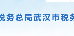 武漢化學工業(yè)園區(qū)稅務局辦稅服務廳辦公地址時間及咨詢電話