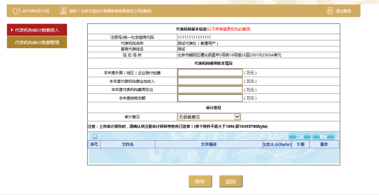 審計數據錄入頁面