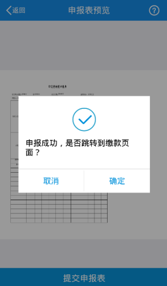 提交申報表