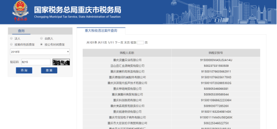 錄入納稅人識別碼及驗(yàn)證碼等信息