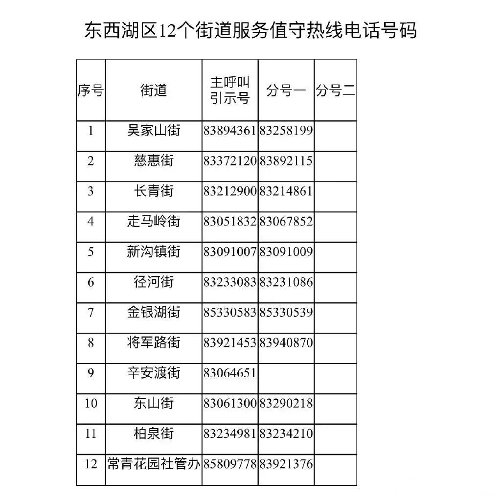 武漢東西湖區(qū)街道服務(wù)值守?zé)峋€