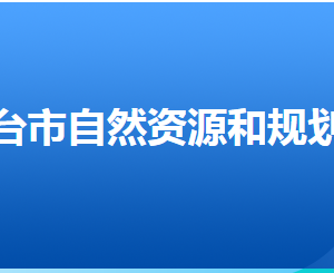 邢臺(tái)市自然資源和規(guī)劃局各部門(mén)對(duì)外聯(lián)系電話