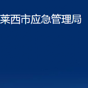 萊西市應(yīng)急管理局各部門對外聯(lián)系電話