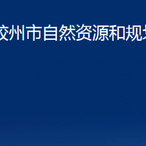 膠州市自然資源和規(guī)劃局各部門辦公時間及聯(lián)系電話