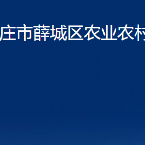 棗莊市薛城區(qū)農(nóng)業(yè)農(nóng)村局各部門對外聯(lián)系電話