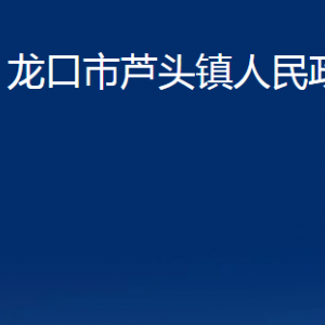 龍口市蘆頭鎮(zhèn)政府各職能對(duì)外聯(lián)系電話