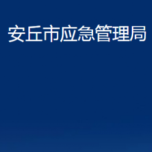 安丘市應急管理局各部門對外聯系電話