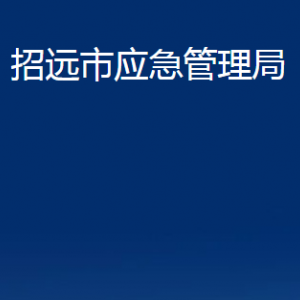 招遠(yuǎn)市應(yīng)急管理局各部門對外聯(lián)系電話