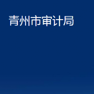 青州市審計(jì)局各部門對外聯(lián)系電話