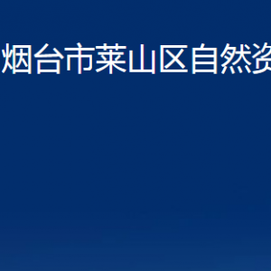 煙臺市萊山區(qū)自然資源局各部門對外聯(lián)系電話