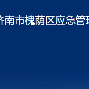 濟(jì)南市槐蔭區(qū)應(yīng)急管理局各部門職責(zé)及聯(lián)系電話