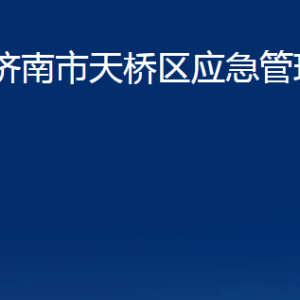 濟南市天橋區(qū)應(yīng)急管理局各部門職責(zé)及聯(lián)系電話