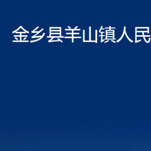 金鄉(xiāng)縣羊山鎮(zhèn)政府為民服務(wù)中心對外聯(lián)系電話及地址