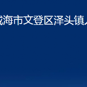 威海市文登區(qū)澤頭鎮(zhèn)政府便民服務(wù)中心對(duì)外聯(lián)系電話