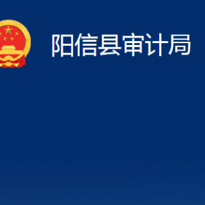 陽(yáng)信縣審計(jì)局各部門(mén)職責(zé)及對(duì)外聯(lián)系電話辦公時(shí)間