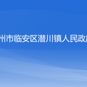 杭州市臨安區(qū)潛川鎮(zhèn)政府各部門負責(zé)人和聯(lián)系電話