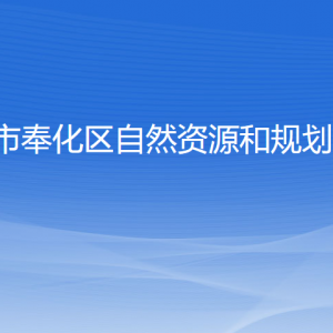 寧波市奉化區(qū)自然資源和規(guī)劃分局各部門負(fù)責(zé)人和聯(lián)系電話