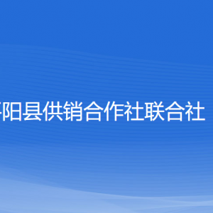 平陽(yáng)縣供銷(xiāo)合作社聯(lián)合社各部門(mén)負(fù)責(zé)人和聯(lián)系電話