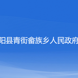 平陽(yáng)縣青街畬族鄉(xiāng)人民政府各部門負(fù)責(zé)人和聯(lián)系電話