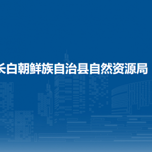 長(zhǎng)白朝鮮族自治縣自然資源局各部門職責(zé)及聯(lián)系電話