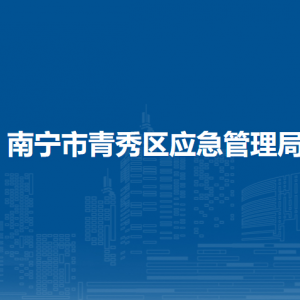 南寧市青秀區(qū)應(yīng)急管理綜合行政執(zhí)法大隊(duì)聯(lián)系電話(huà)