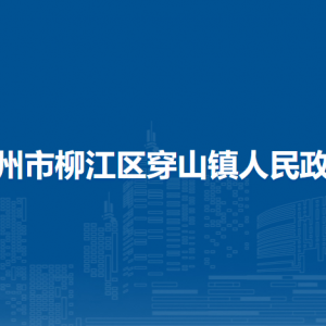 柳州市柳江區(qū)穿山鎮(zhèn)人民政府各部門聯(lián)系電話