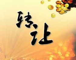 上海**投資咨詢有限公司