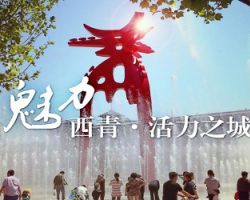 天津市西青區(qū)人民防空辦公室