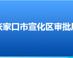 張家口市宣化區(qū)行政審批局"