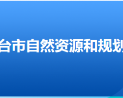 邢臺市自然資源和規(guī)劃局