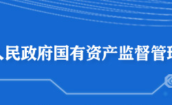 黃石市人民政府國有資產(chǎn)監(jiān)督管理委員會(huì)