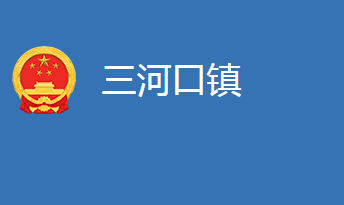 麻城市三河口鎮(zhèn)人民政府