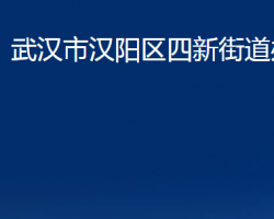 武漢市漢陽區(qū)四新街道辦事處