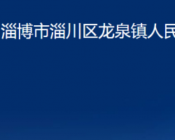 淄博市淄川區(qū)龍泉鎮(zhèn)人民政府