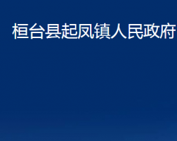 桓臺(tái)縣起鳳鎮(zhèn)人民政府