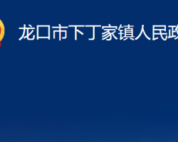 龍口市下丁家鎮(zhèn)人民政府